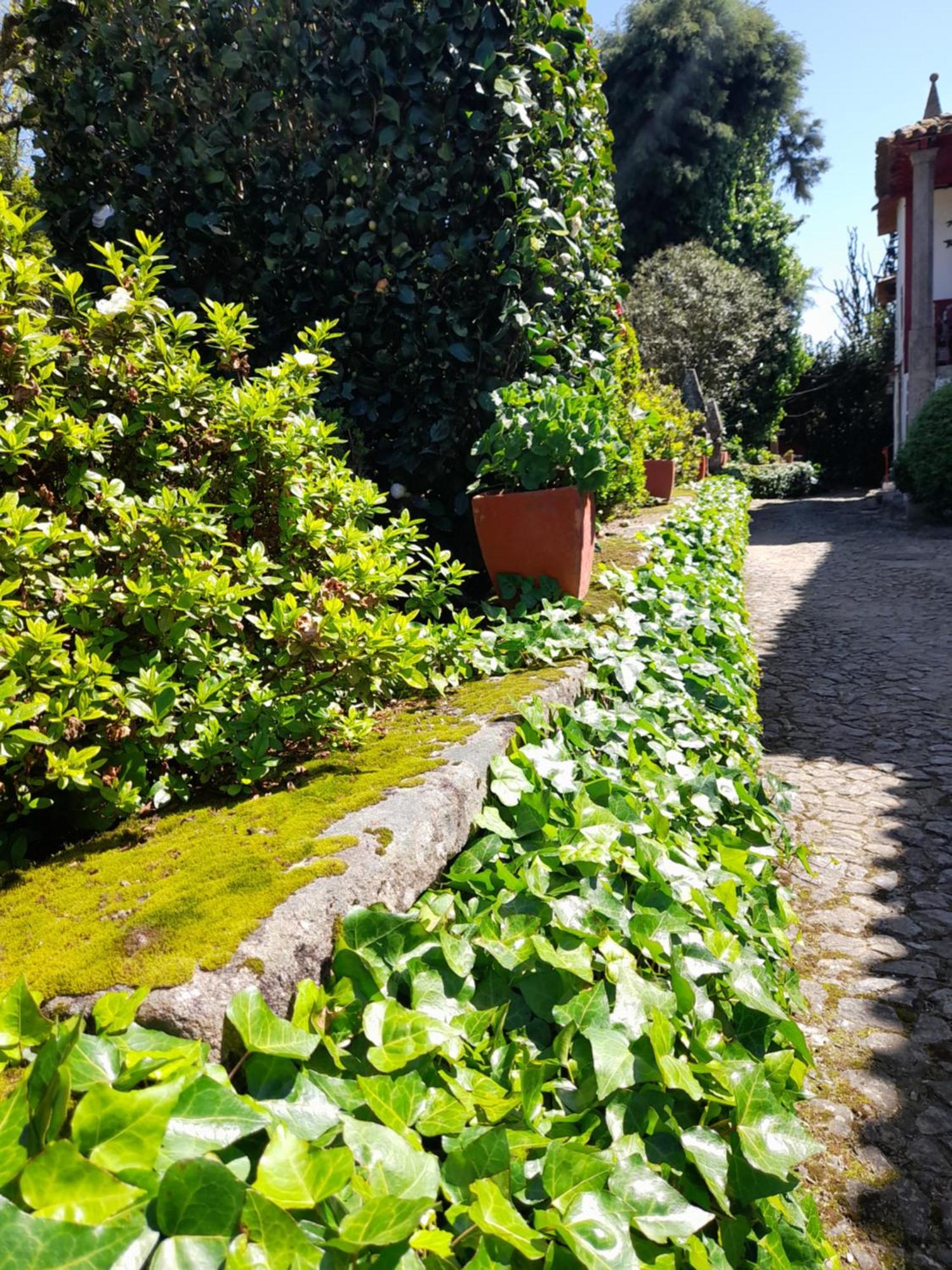 Quinta Da Mainha - Charming Houses Braga Zewnętrze zdjęcie